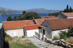 Apartments by the sea Korcula - 9000