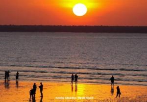 ZEN TREETOPS - Boutique 2-BR Apt w Private Pool