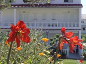 Rab Paradise Villa -3 Bedrooms 3 Bathrooms - 4hvězdičkové hotely ve městě Rab