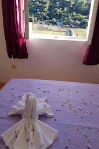 Seaside holiday house Cove Parja, Vis - 8892