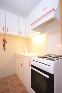 Apartments by the sea Vis - 8875