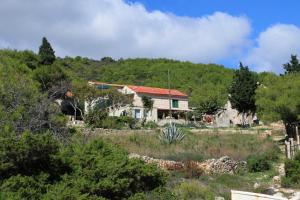 Apartments by the sea Brgujac, Vis - 8918