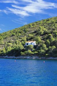 Apartments by the sea Cove Stoncica, Vis - 8941