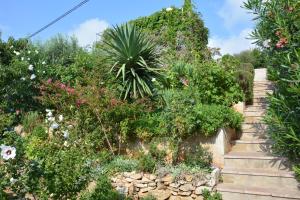 Apartments by the sea Milna, Vis - 8944