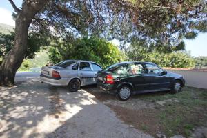 Apartments by the sea Zaton Mali (Dubrovnik) - 9016