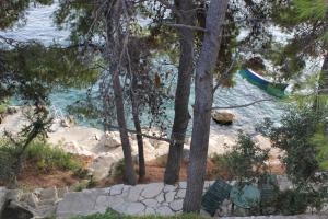 Apartments by the sea Prizba, Korcula - 9146