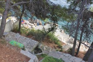 Apartments by the sea Prizba, Korcula - 9146