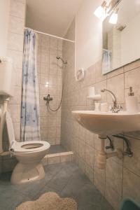 Apartments with a parking space Rukavac, Vis - 8898