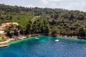 Apartments by the sea Brna, Korcula - 9159 - Smokvica