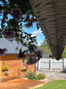 Chata Borówkowe Wzgórze