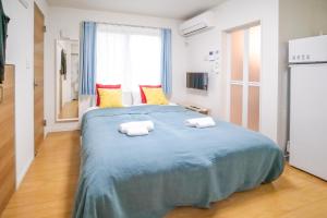 Triphome Tateishi New open2 single bedsbig table300M WiFi