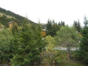 Appartement 2 Pièces, Cabine, Balcon, Près des Pistes, 6 Pers - FR-1-180-95