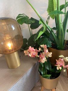 Nibelungen 3 Zimmer Apartment