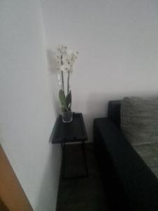 Paula Haus Trier
