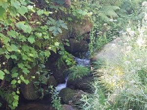 Casa al lado de la playa santa marta baiona