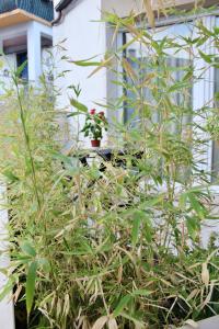 B&B Salsedine e Girasoli