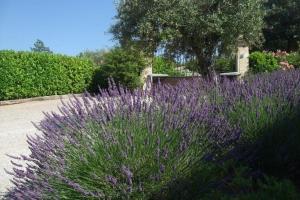 Appartements Pleasant apartment in Montauroux with terrace : photos des chambres