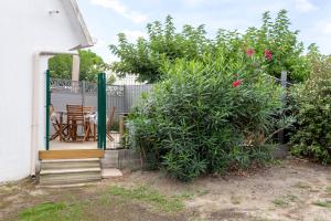 Appartements Beau studio avec grande terrasse : photos des chambres