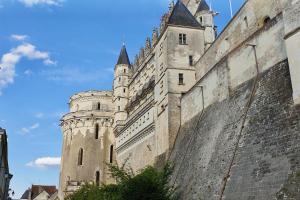 Appartements Splendid apartment at the foot of the castle of Amboise - View of the Loir : photos des chambres