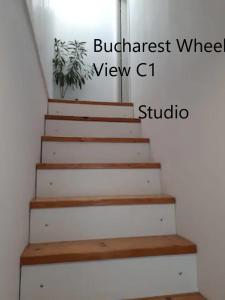 Bucharest Wheel View