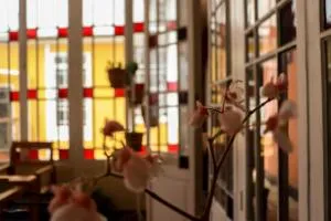 Wake Up Hostel - Chijini