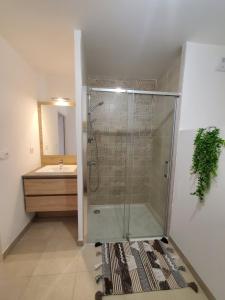 Appartement T2 sur Mauguio avec grande terrasse