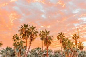 Cien Palmas- Authentic Mexican Casita 3 -Downtown