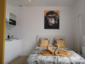 Appartements STUDIO COSY- CHALEUREUX- QUARTIER CALME- Wifi : photos des chambres