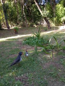 Casa Del Valle Traslasierra