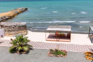 استراحة نادي اورجان Orjan Guest House