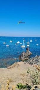 Appartements Studio 16 Le Cap d'Agde avec Parking prive proche du centre : photos des chambres