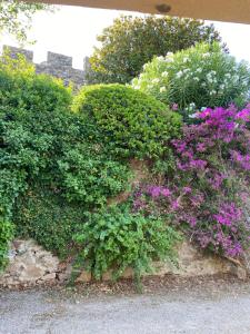 Maisons de vacances Pretty Historical Village House : photos des chambres