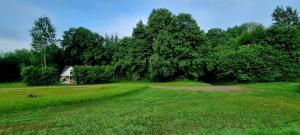 Biała chatka w lesie na Roztoczu