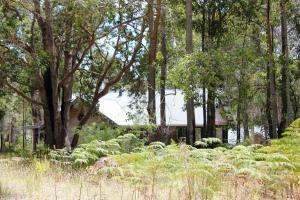 Scotsdale Valley Studios