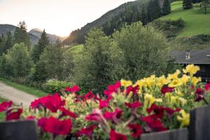 Ferienwohnungen Bundschuh