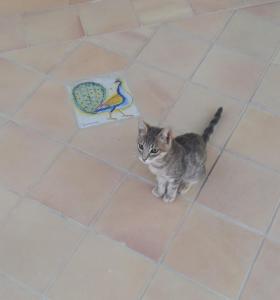 Le 3 Rose apartments