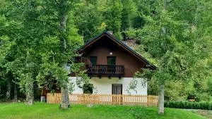 Radovna Mountain Valley Cottage - Dovje
