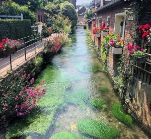 Maisons de vacances L’Albatre - Maison situee a quelques pas de la mer : photos des chambres