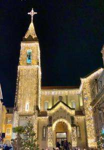 Appartements PORTISSOL T1 RDJ CLIM PARKING PRIVATIF 300m PLAGE : photos des chambres