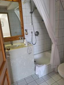 Historik Hotel Ochsen