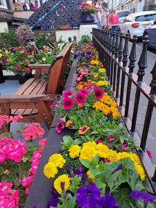 No 6 Quality Guesthouse