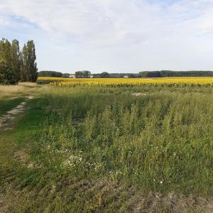 Maisons de vacances Le Peu'ty Cottage : photos des chambres