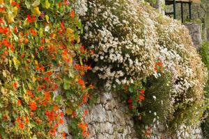 Mas Thomasine Séjour Romantique au calme