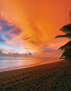 Kinkajoungalows - Amaya Family, Drake Bay, Osa Peninsula