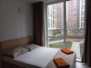 Смарт студио на шевченка 60 семицвіт