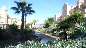 CLoft terrazas de la Marina