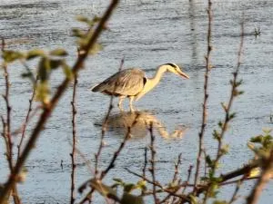 Bungalow fully renovated 2022 close to slob lands and beach - 考敦