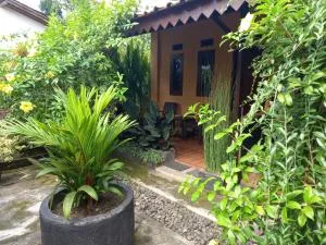 犹太民宿 - Rogojampi