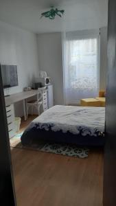 Appartements Studio centre ville : photos des chambres