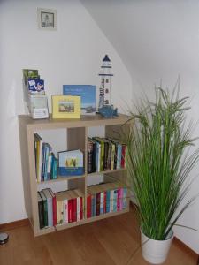 Ferienwohnung Lachmöwe